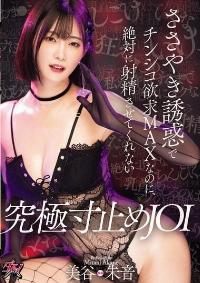 DASS-657