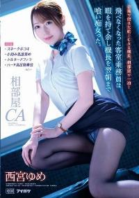 IPZZ-044 Reduce Mosaic