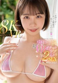 MDVR-239 Reduce Mosaic