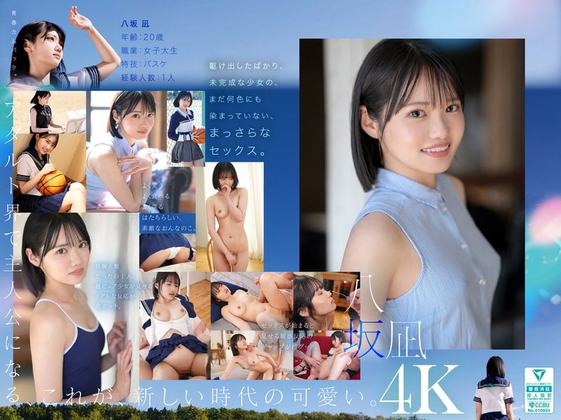 MIDA-251 Chinese Subtitle
