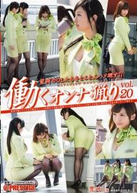 YRH-085 Reduce Mosaic