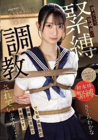 IPZZ-653 English Subtitle