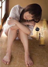 IPTD-603 Reduce Mosaic