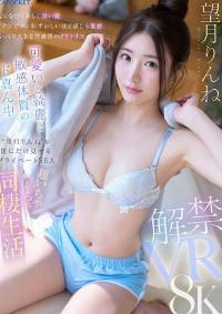 IPVR-336